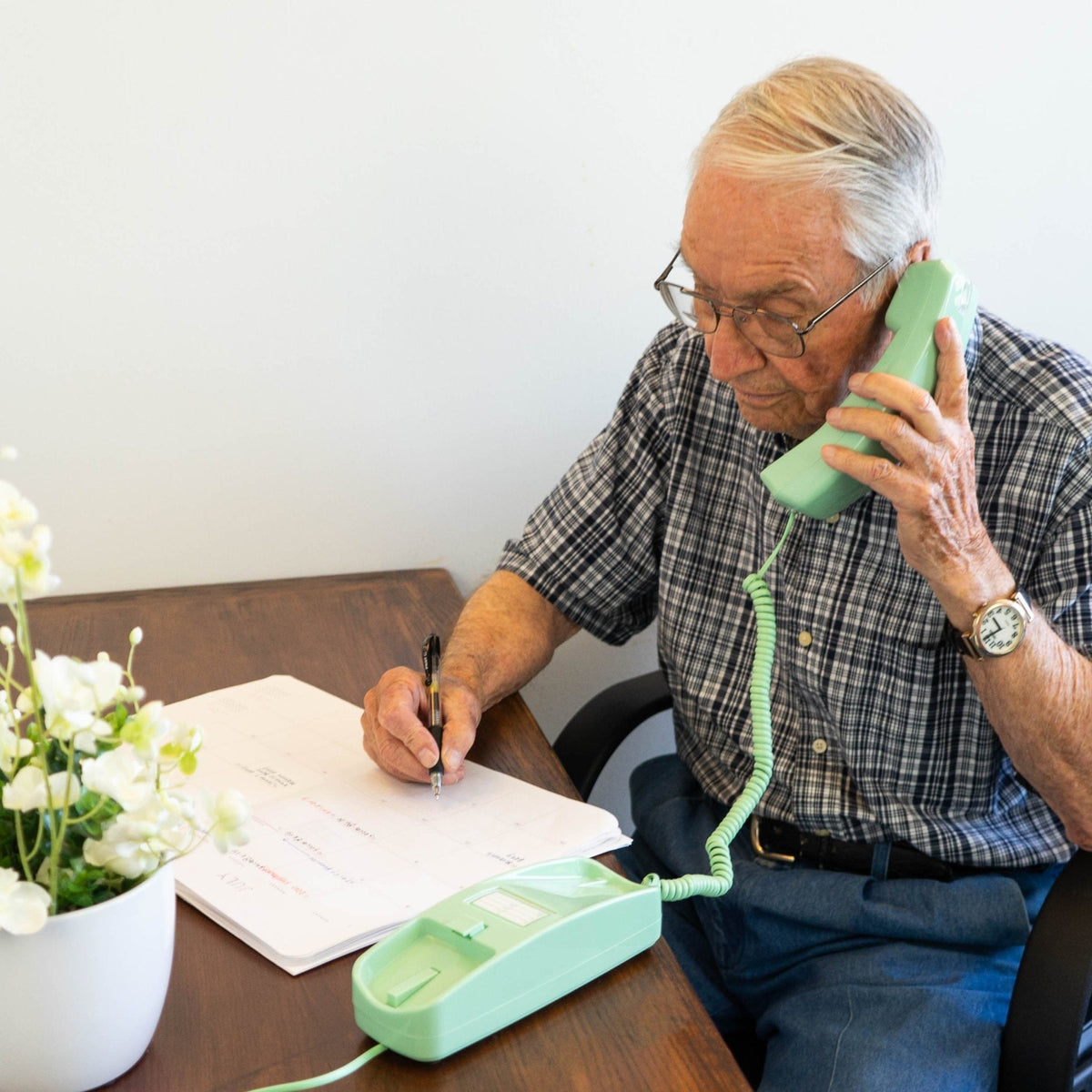iSoHo Trimline Phone: Enhanced for Seniors, Visually Impaired. Large Buttons, Loud Ringer.Perfect for Hearing and Visually Impaired. Retro Style, Reliable Performance - Earth Day Green - USA Trading Depot, LLC
